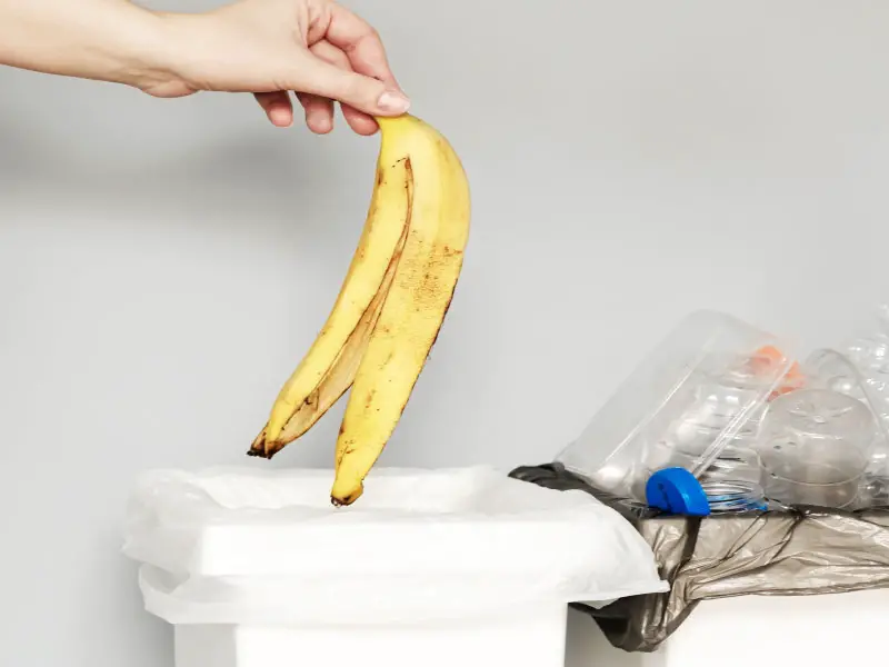 Can You Put Banana Peels Down the Garbage Disposal