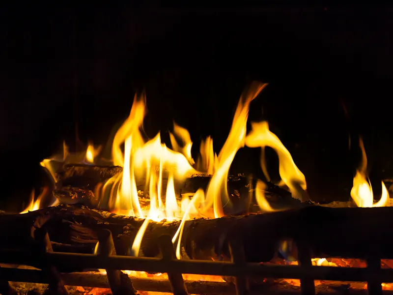 Can Melted Plastic in Dishwasher Cause Fire? DumpDisposal