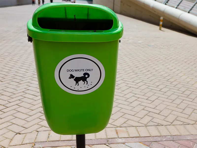 Best Animal Proof Garbage Cans
