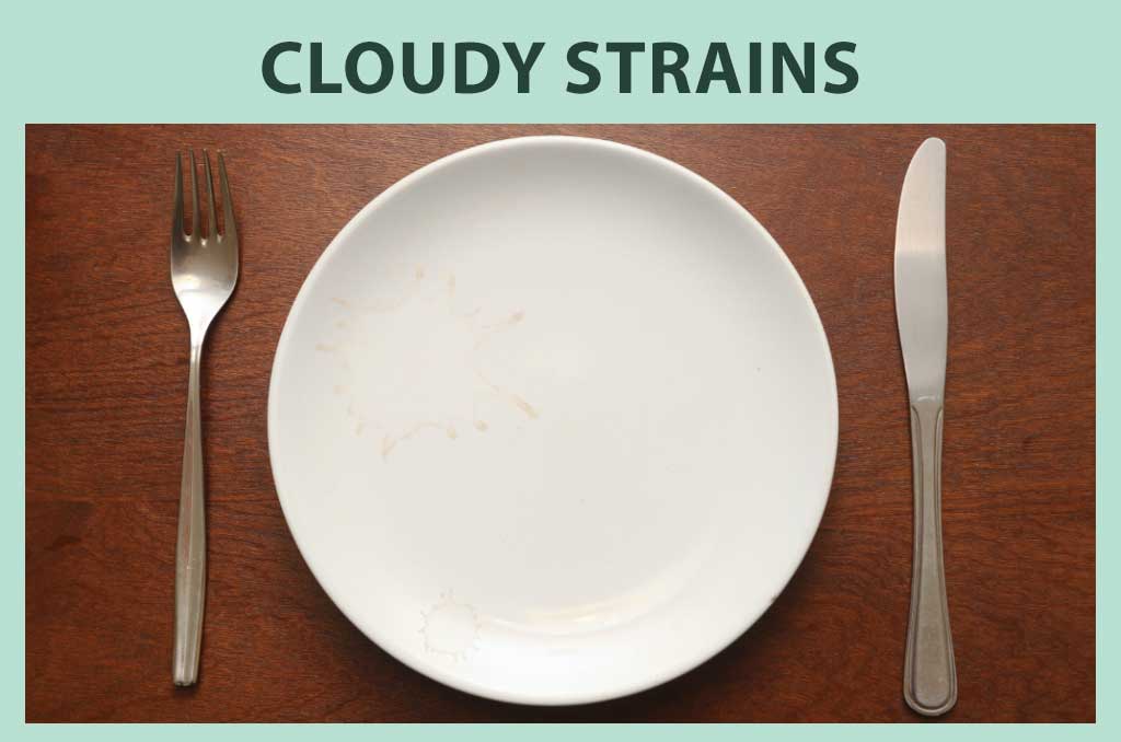 Inefficient cleaning leaves cloudy strains on the plates.