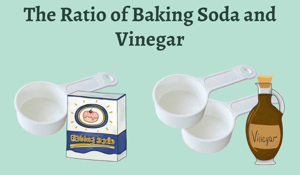 The ratio of the baking soda and the vinegar is 1:2