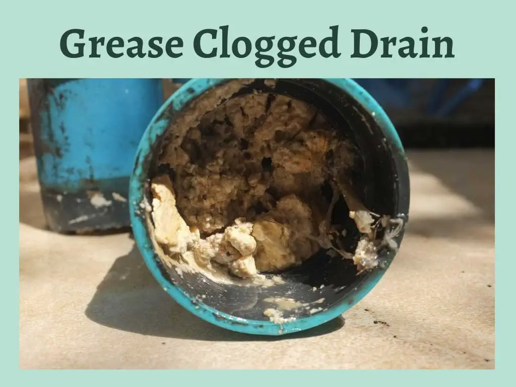 Grease creates solid clogs inside the drain