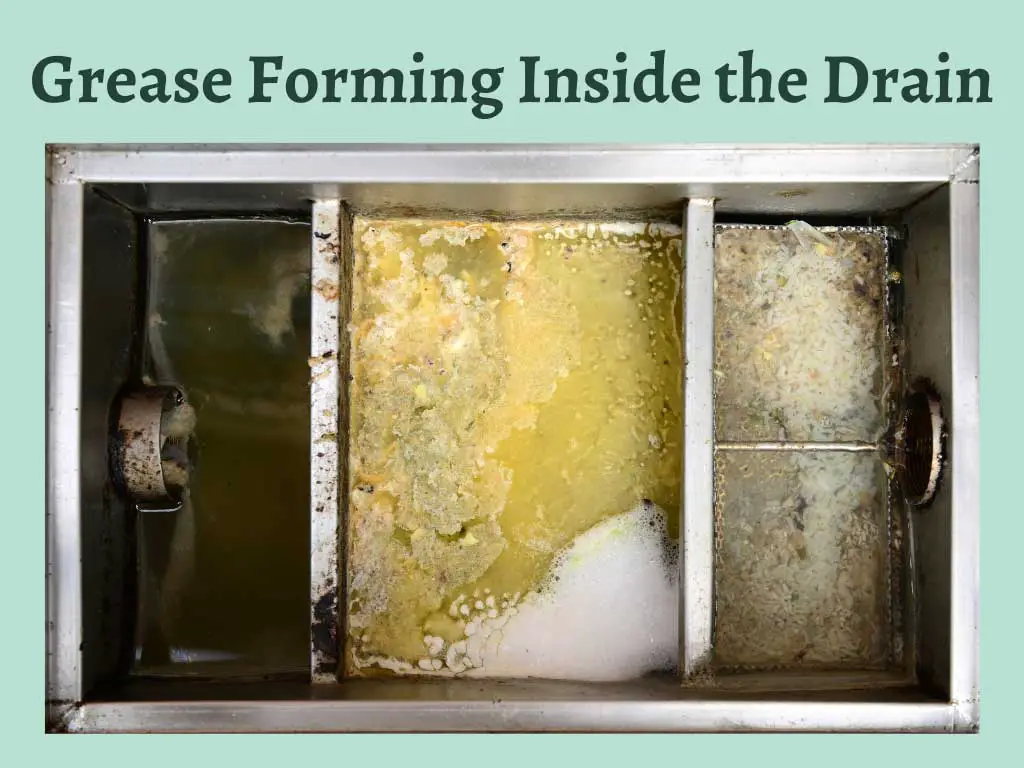 Grease can quickly form inside the drain because of soap, oil, vinegar, etc.